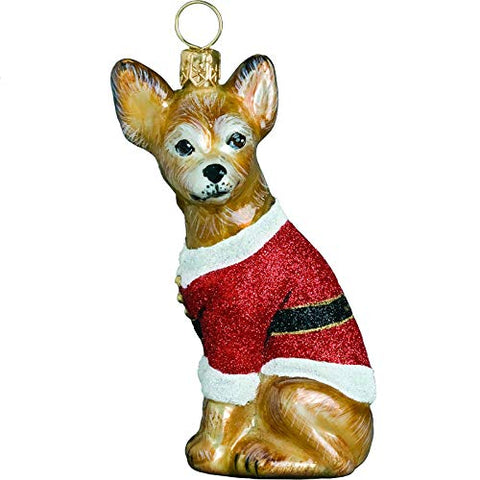 Chihuahua Santa Paws
