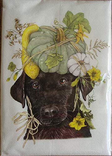 Mary Lake Thompson Fall, Harvest Flour Sack Towel - Lab Pumpkin Head
